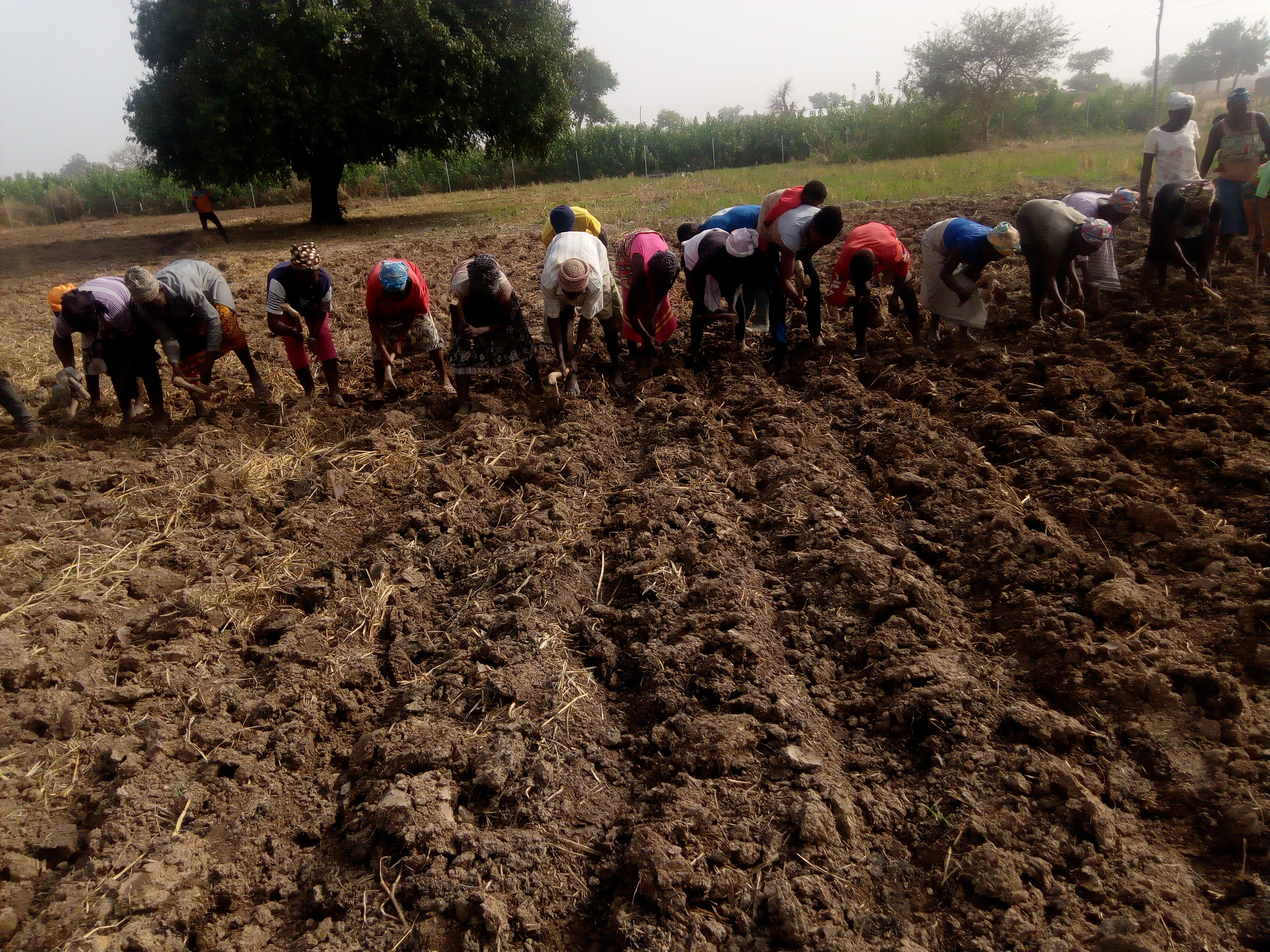 Village Health Meeting