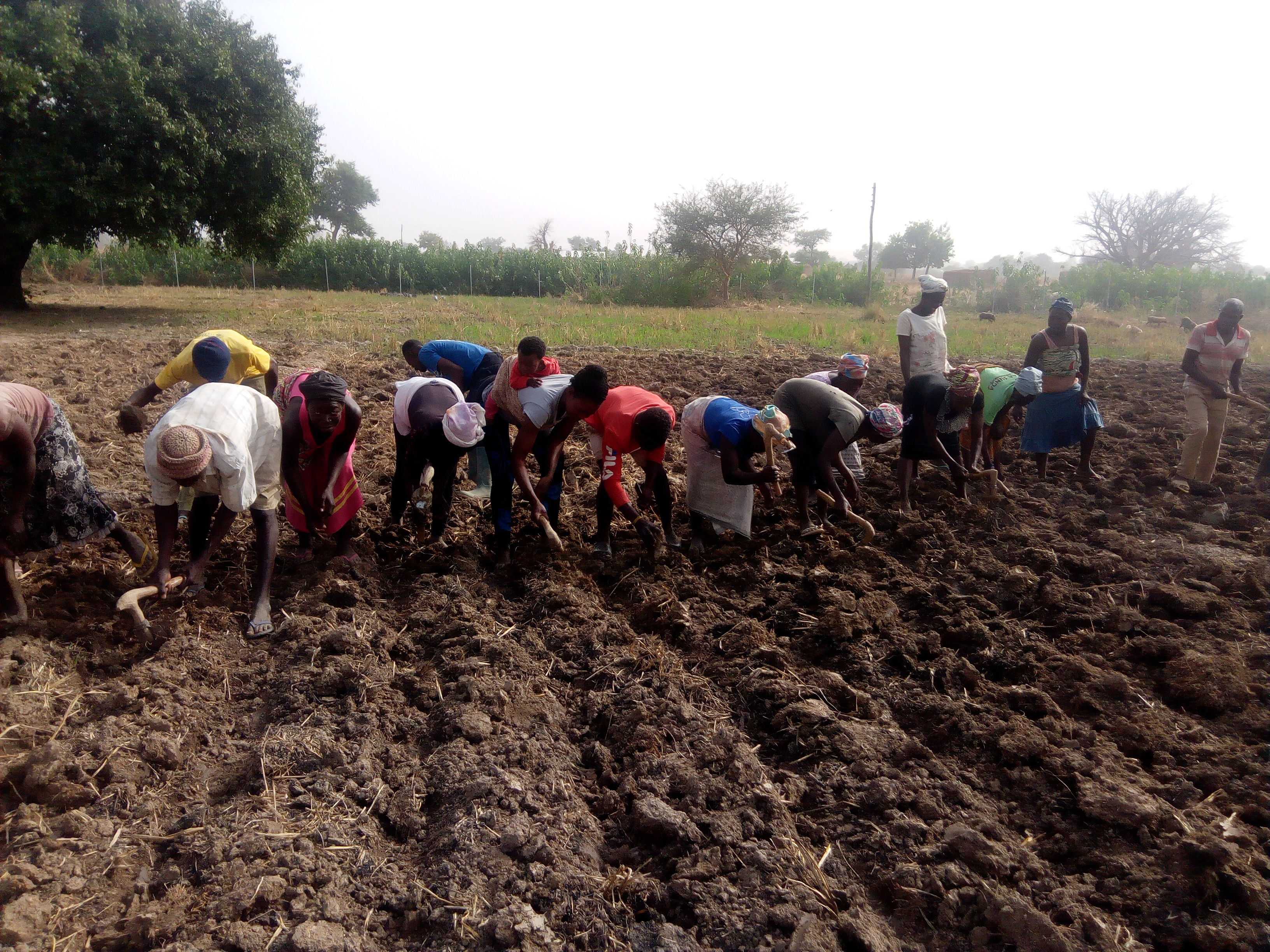 Community Health Outreach